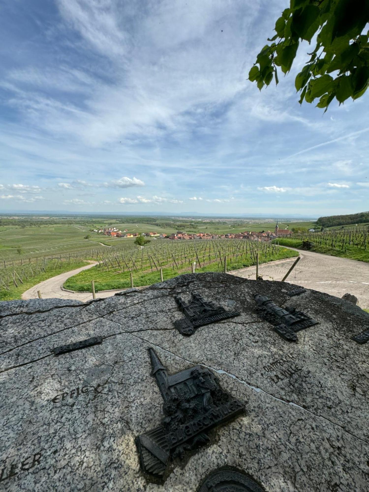 La Terasse Des Vignes - Maison 2 Chambres - 4 Personnes Blienschwiller ภายนอก รูปภาพ