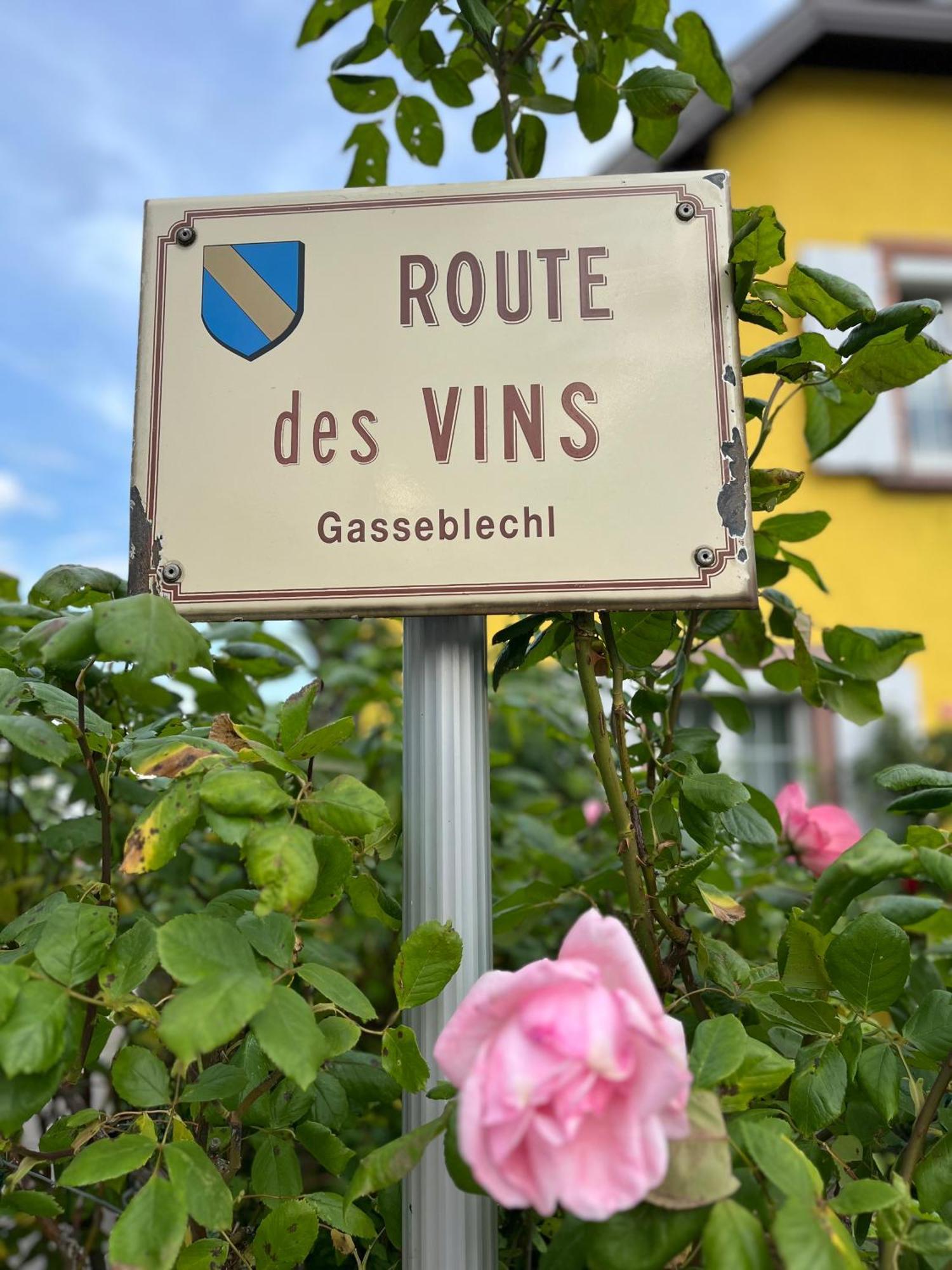 La Terasse Des Vignes - Maison 2 Chambres - 4 Personnes Blienschwiller ภายนอก รูปภาพ