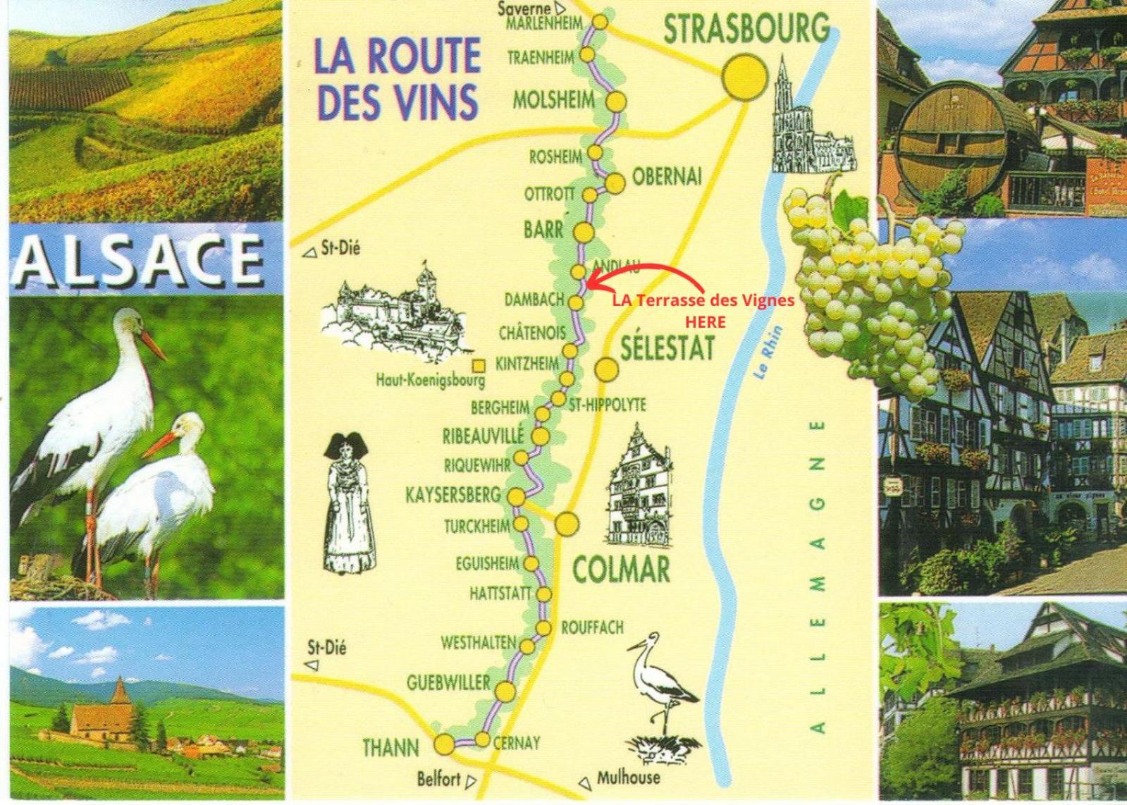 La Terasse Des Vignes - Maison 2 Chambres - 4 Personnes Blienschwiller ภายนอก รูปภาพ